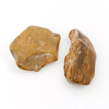 Окаменелость окаменелое дерево (5-6 см) (1 шт)