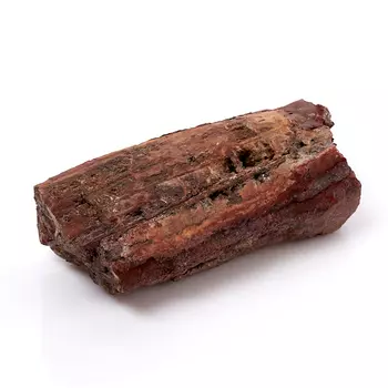 Окаменелость окаменелое дерево L (12-16 см)