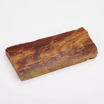 Окаменелость окаменелое дерево опализированное L