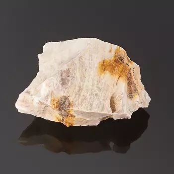 Окаменелость окаменелое дерево S (4-7 см)