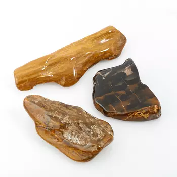 Окаменелость окаменелое дерево S (4-7 см) (1 шт)