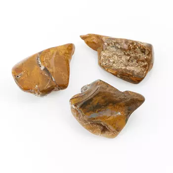 Окаменелость окаменелое дерево XS (3-4 см) (1 шт)