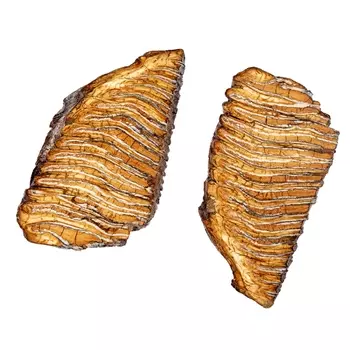 Окаменелость (распиленная пара) XXL