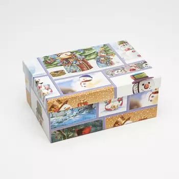 Подарочная упаковка универсальная 195х135х80 мм