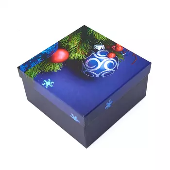 Подарочная упаковка универсальная 205х205х110 мм