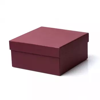 Подарочная упаковка универсальная 205х205х110 мм