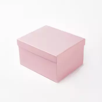 Подарочная упаковка универсальная 220х180х130 мм