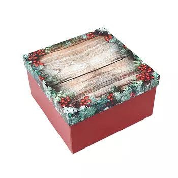 Подарочная упаковка универсальная 225х225х130 мм