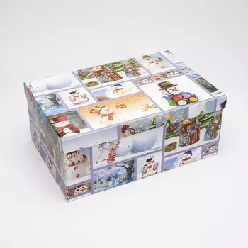 Подарочная упаковка универсальная 310х205х130 мм