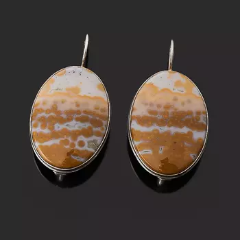 Серьги агат (серебро 925 пр.)