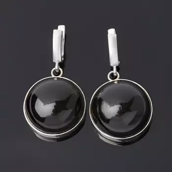 Серьги гагат (серебро 925 пр.)