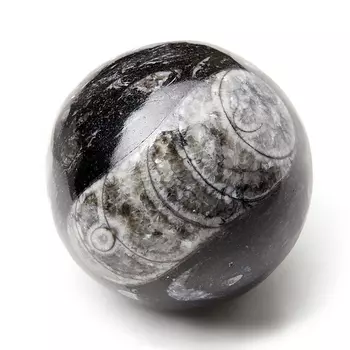Шар окаменелость 5,5 см