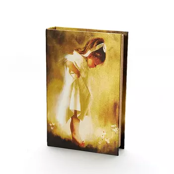 Шкатулка для хранения камней / украшений 26х17х5 см