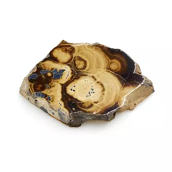 Срез галенит со сфалеритом (олькушит) S