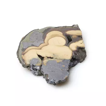 Срез галенит со сфалеритом (олькушит) S