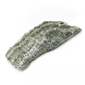 Срез клинохлор (серафинит) L (12-16 см)