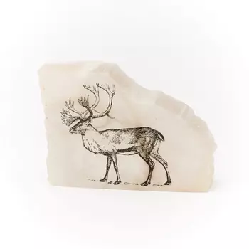 Срез с изображением селенит 4х5,5 см