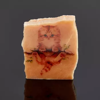 Срез с изображением селенит 5-6 см