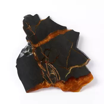 Срез симбирцит XXL (от 20 см)