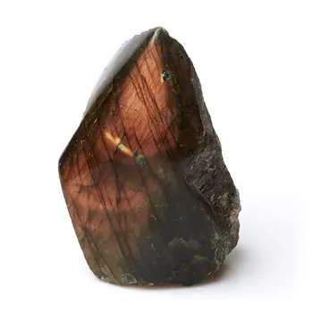 Стела лабрадор M