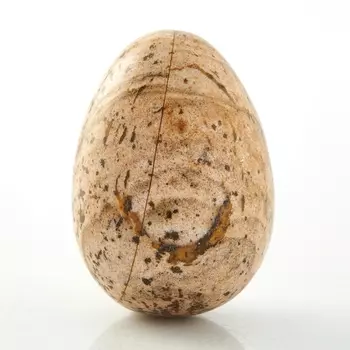 Яйцо яшма рисунчатая (песочная) 2,5 см