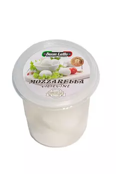 БЗМЖ Сыр моцарелла Чиледждина 45-48% Бон Латте