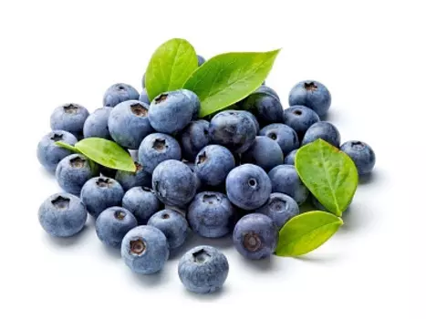 Голубика Сербия весовая