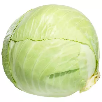 Капуста белокачанная