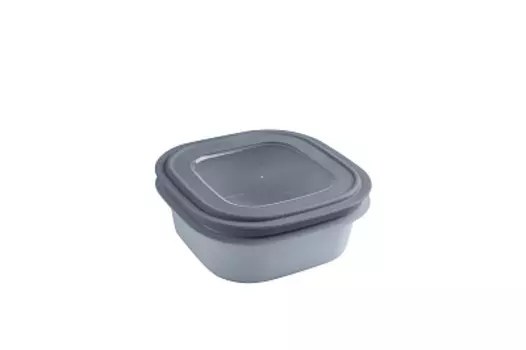 Контейнер для хранения продуктов 1.3л серо-голубой Sunware