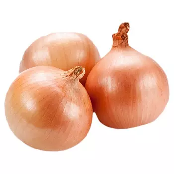 Лук репчатый