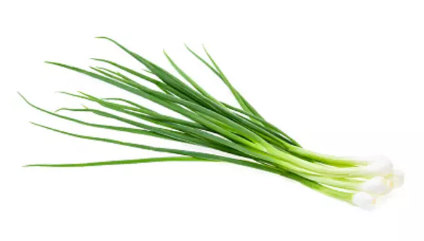 Лук зеленый Зеленый Сад