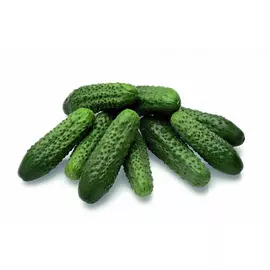 Огурцы корнишоны весовые
