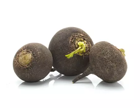 Редька черная весовая