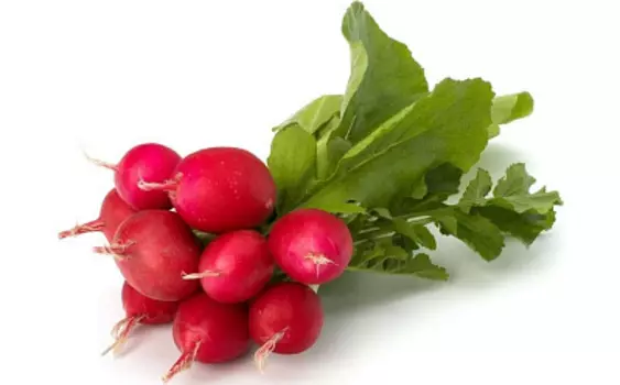 Редис 1 пучок