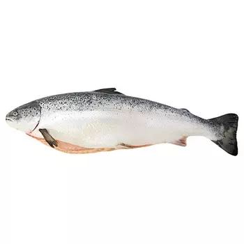 Семга 4/5 вес