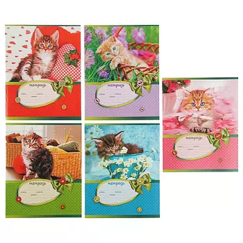 Тетрадь VK серия Цап-Царап А5 класс С скоб. 18л Hatber