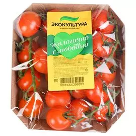 Томаты Черри на ветке 500г Экокультура