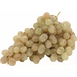 Виноград Тайфи весовой