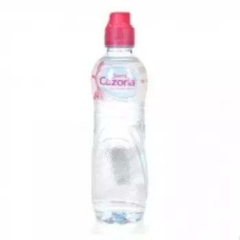 Вода минеральная негазированная Sierra Cazorla 0.5 л.