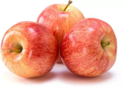 Яблоки Гала весовые Молдова