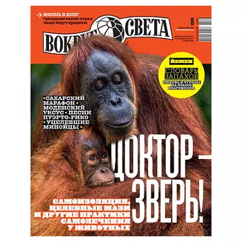 Журнал Вокруг света