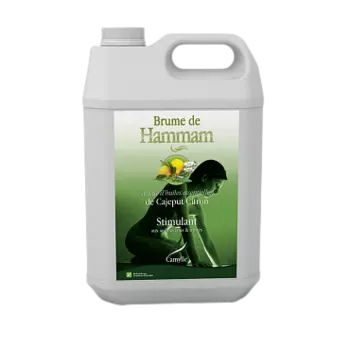 Ароматизатор Camylle