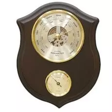 Барометр БРИГ
