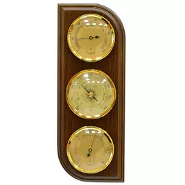 Барометр БРИГ