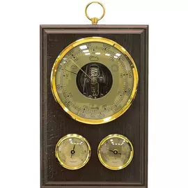 Барометр БРИГ