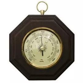 Барометр БРИГ