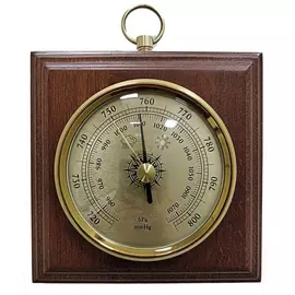 Барометр БРИГ