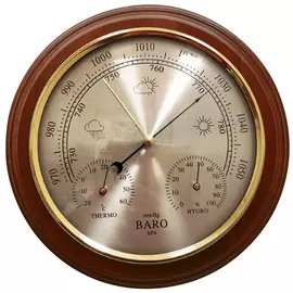 Барометр БРИГ