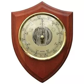 Барометр БРИГ