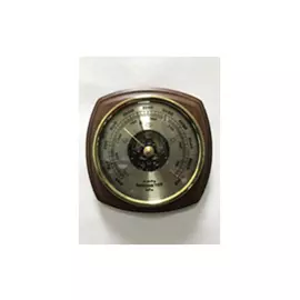 Барометр БРИГ